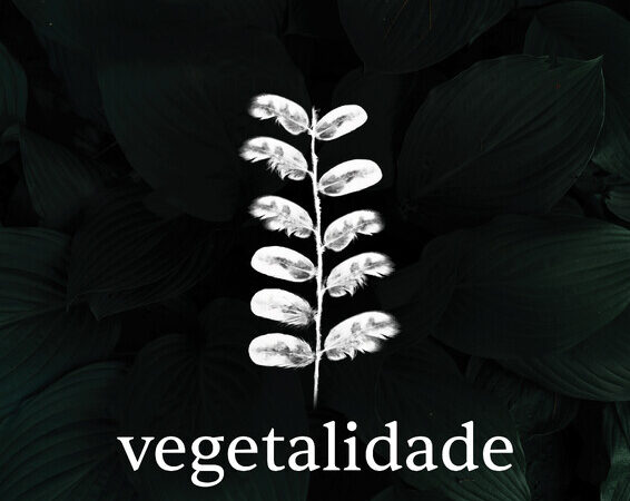 Vegetalidade